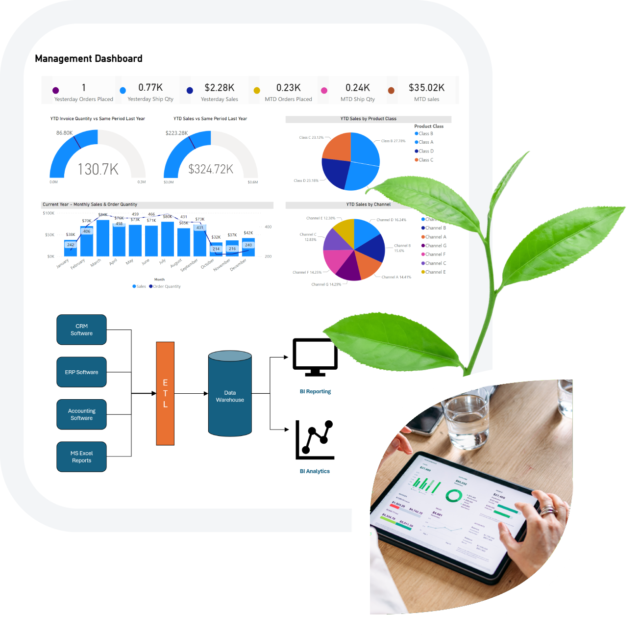 Sapling_Collage Service – Digital Transformation digital transformation collage