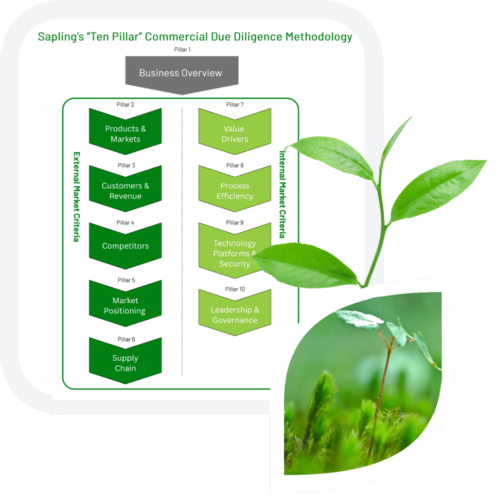 Sapling_service – CDD (1)