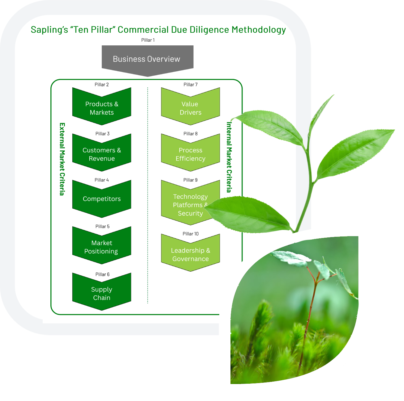 Sapling_service – CDD (1) Ten Pillar Commercial Due Diligence