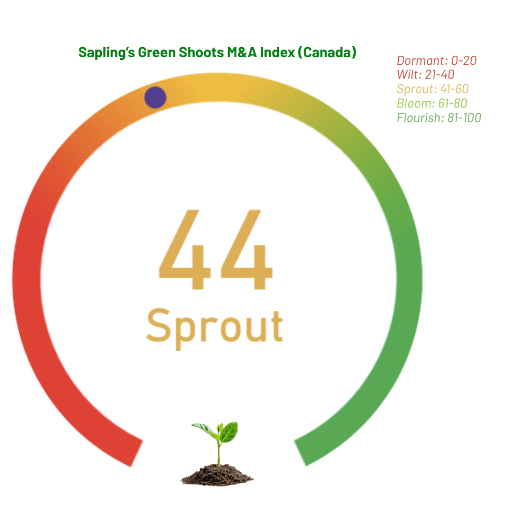 Sapling’s Green Shoots M&A Index (Canada) (3)